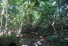 Wanderung den Dschungelpfad entlang