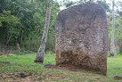 Maka Fakinanga