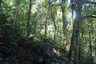 Im Kula Eco Park
