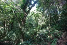 Im Kula Eco Park