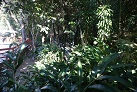 Im Kula Eco Park