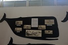 Das Nationalmuseum in Suva
