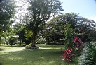 Das Nationalmuseum in Suva