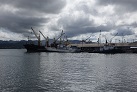Am Hafen