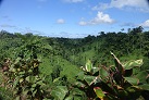 Landschaft in Upolu