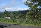 Landschaft auf Upolu