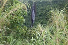 Papapapaitai–Wasserfall