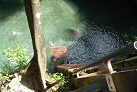 An der To Sua Ocean Trench