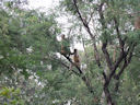 Im Wildpark