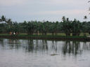 In den Backwaters bei Alappuzha