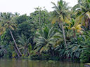 Weitere Erkundung der Backwaters