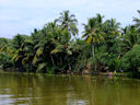 Weitere Erkundung der Backwaters