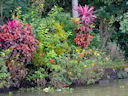 Weitere Erkundung der Backwaters