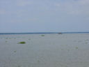 Auf einem großen See