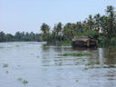 In den Backwaters bei Alappuzha