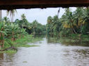 In den Backwaters bei Alappuzha