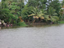 In den Backwaters bei Alappuzha