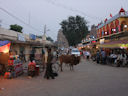 Am Abend in Orchha