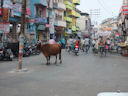 Straßenszenen in Varanasi