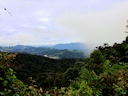 Auf dem Gunung Brinchang