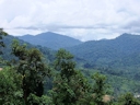 Landschaft auf dem Weg in die Cameron Highlands