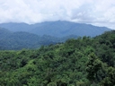 Landschaft auf dem Weg in die Cameron Highlands