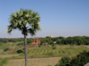 Gubyaukgyi