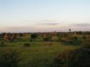 Sonnenuntergang in Bagan