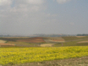 Landschaft im Shan-Staat