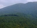Am Mount Popa