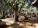 Bodhi Tataung