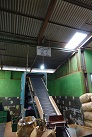 Glenloch-Teeplantage