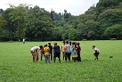 Botanischer Garten in Peradeniya