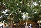 In Kataragama