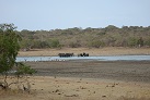 Im Yala-Nationalpark
