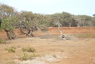 Im Yala-Nationalpark