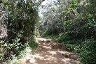 In den Horton Plains