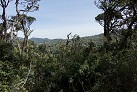 In den Horton Plains