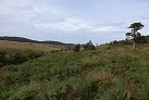 In den Horton Plains