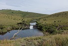 In den Horton Plains