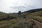 In den Horton Plains
