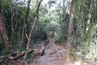 In den Horton Plains