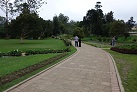 Im Victoria Park