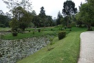 Im Victoria Park