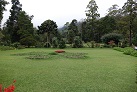 Im Victoria Park