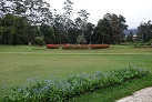 Im Victoria Park