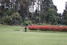 Im Victoria Park
