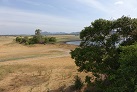 Im Minneriya-Nationalpark